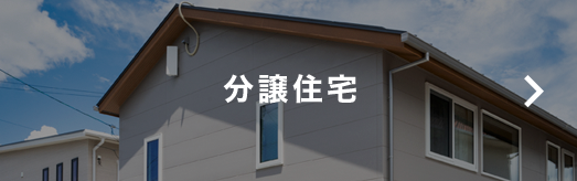 分譲住宅