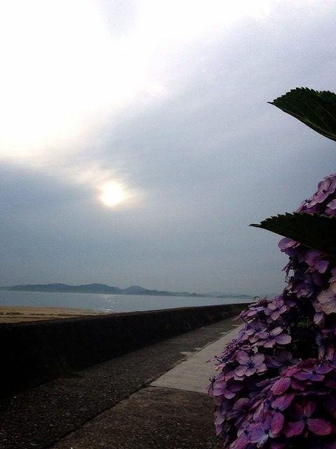 おすすめ！松山あわい海岸通り街① 愛媛の家 愛媛住販 ブログ ペット物件 住環境