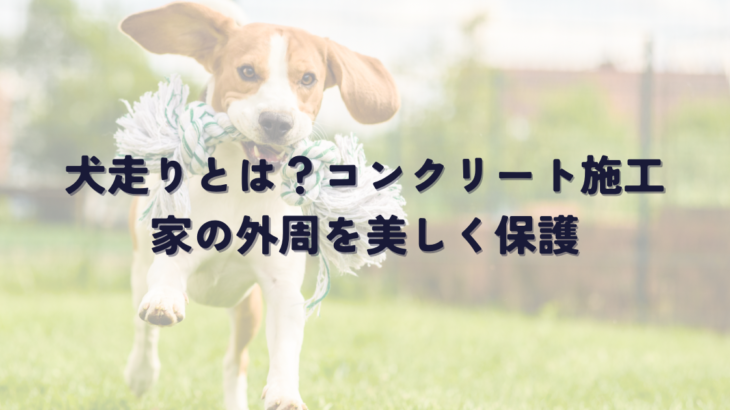 犬走りとは？コンクリート施工で家の外周を美しく保護